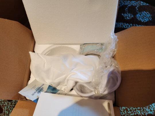 小熊电水壶究竟有何过人之处?(图1)